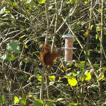 Prázdninový dům L'oree De Bomal